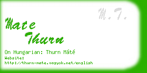 mate thurn business card